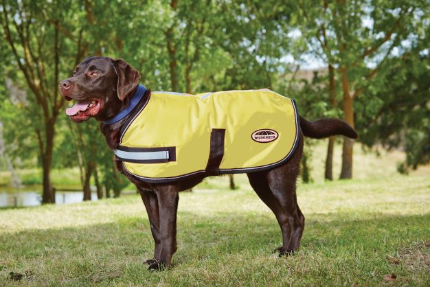 WeatherBeeta Reflective Dog Parka 300D