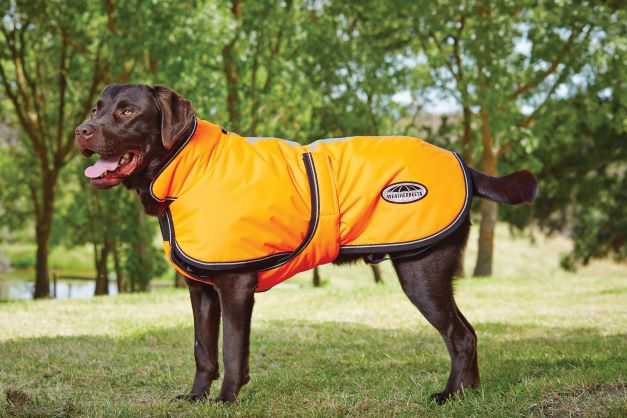WeatherBeeta Reflective Parka 300D Deluxe Lite Dog Coat