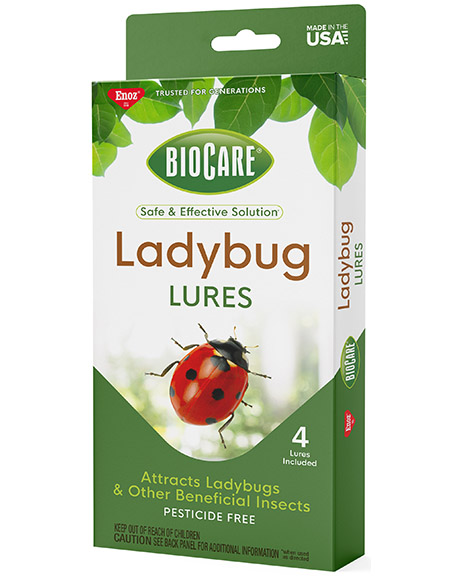 BioCare Ladybug Lure