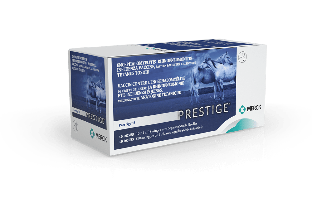 Prestige 5 Equine Vaccine