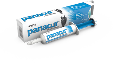 PANACUR&Acirc;&reg; 25 GM PASTE 10%
