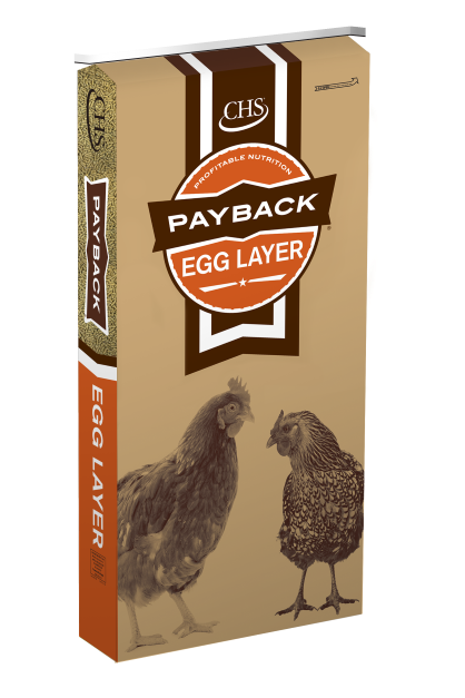 Payback Egg Layer Ration Crumbles 50 lb.