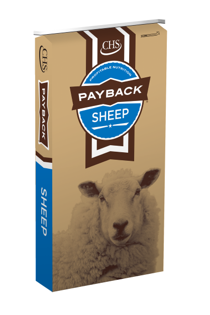 Payback Lamb Creep Starter Medicated B90 50 lb.