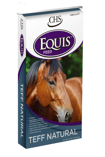 Equis Teff 50 lb.