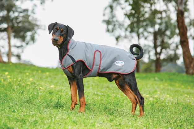 Weatherbeeta Comfitec Premier Free Parka Deluxe Dog Coat Medium