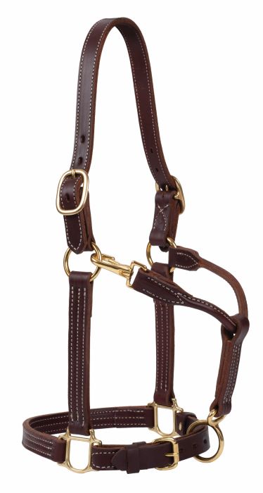 Leather Track Halter, 1"