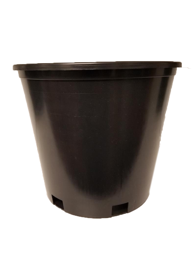 Nursery Pot, 2 gal.