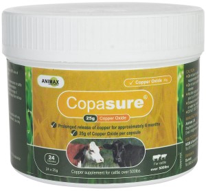 Copasure Cattle Bolus 25 gm, 24 ct.