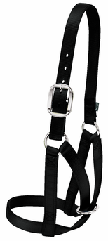 Weaver Nylon Cow Halter Extra Large Black