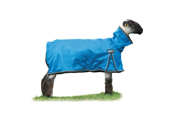 Weaver ProCool Sheep Blanket with Reflective Piping, Medium, Blue