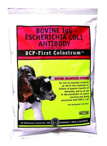 BCP Colostrum First Substitute 350gm