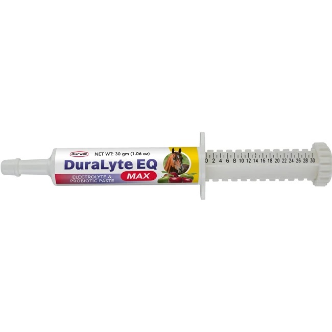 DuraLyte EQ Max Paste 30 gm