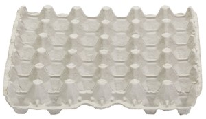 Little Giant Egg Flats, 12 pk.