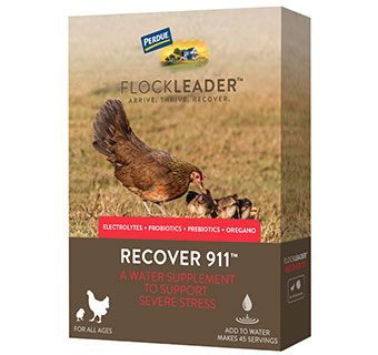 Flockleader Recover 911