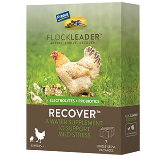 Flockleader Recover