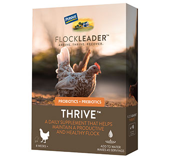 Flockleader Thrive