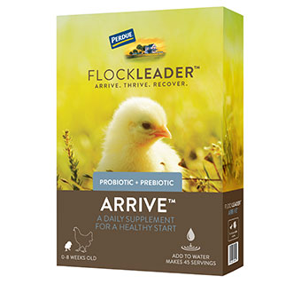Flockleader Arrive