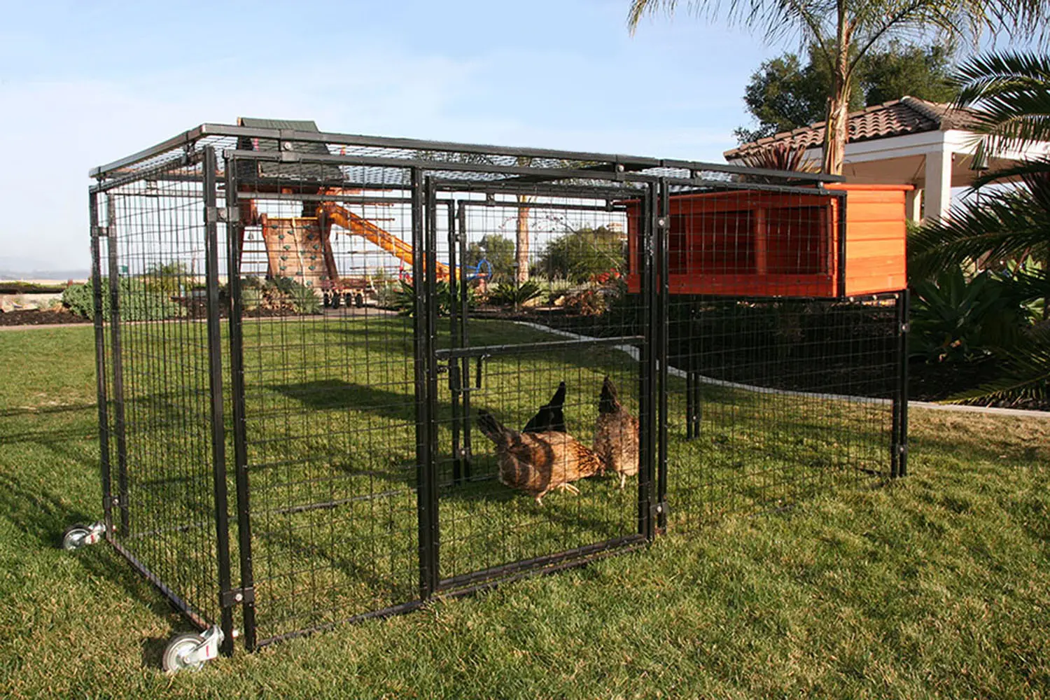 Mobile Chicken Coop