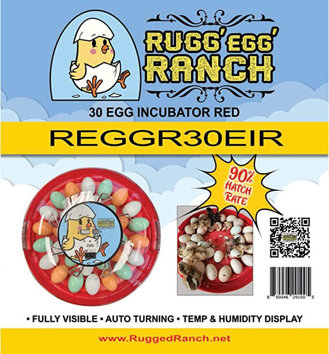 Rugg'EGG' Ranch 30 Egg Incubator 16" x 16" x 3.5"