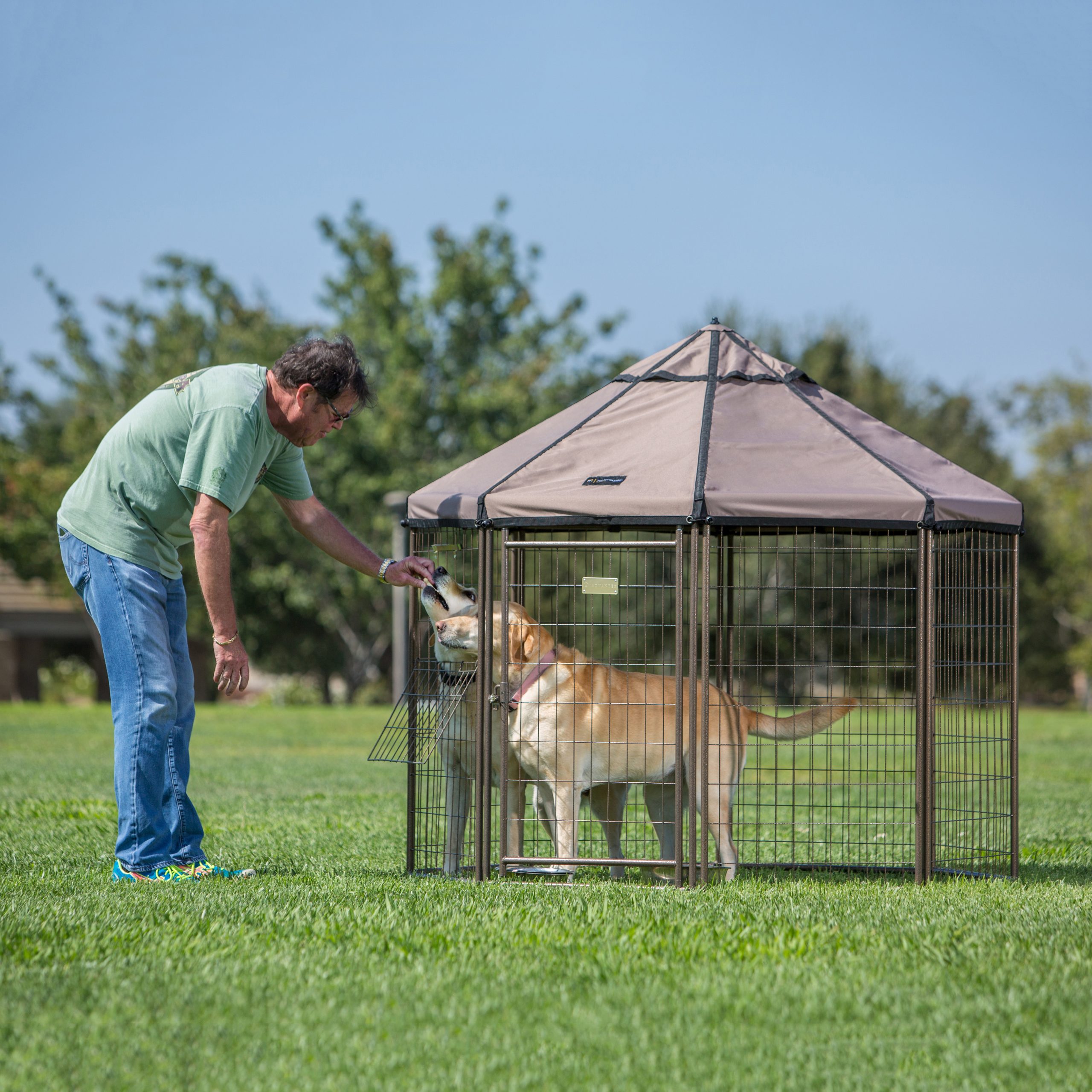 PET GAZEBO