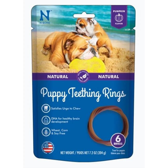 N-Bone Pup Teeth Ring Pumpkin 6pk