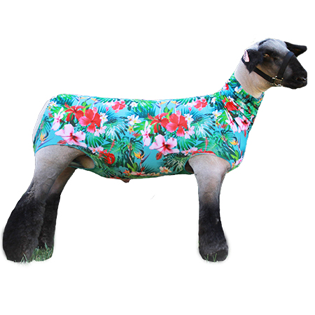 Sullivan's Lamb Tube Tropical M