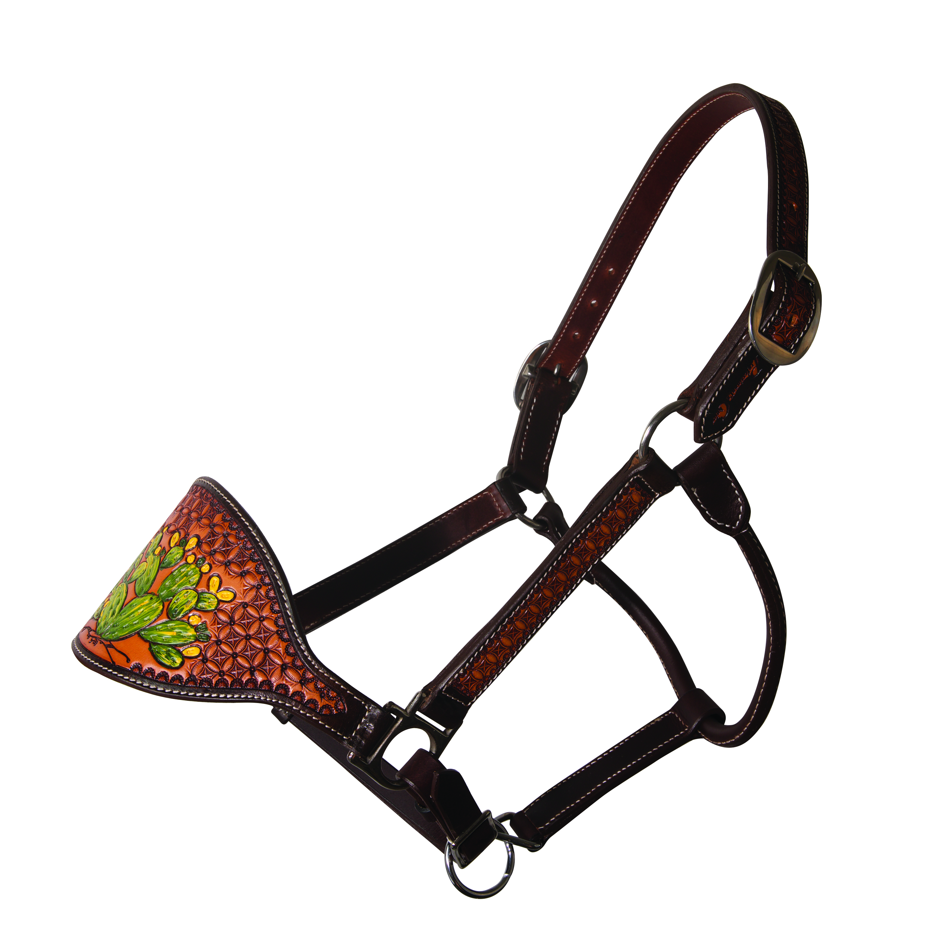 Cactus Bronc Halter