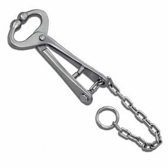 Bull Lead With Chain
