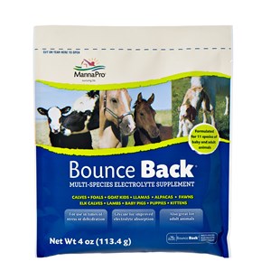 Bounce Back Elecrolyte 4oz