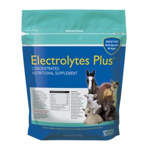 SAV-A-CALF ELECTROLYTES 6LB