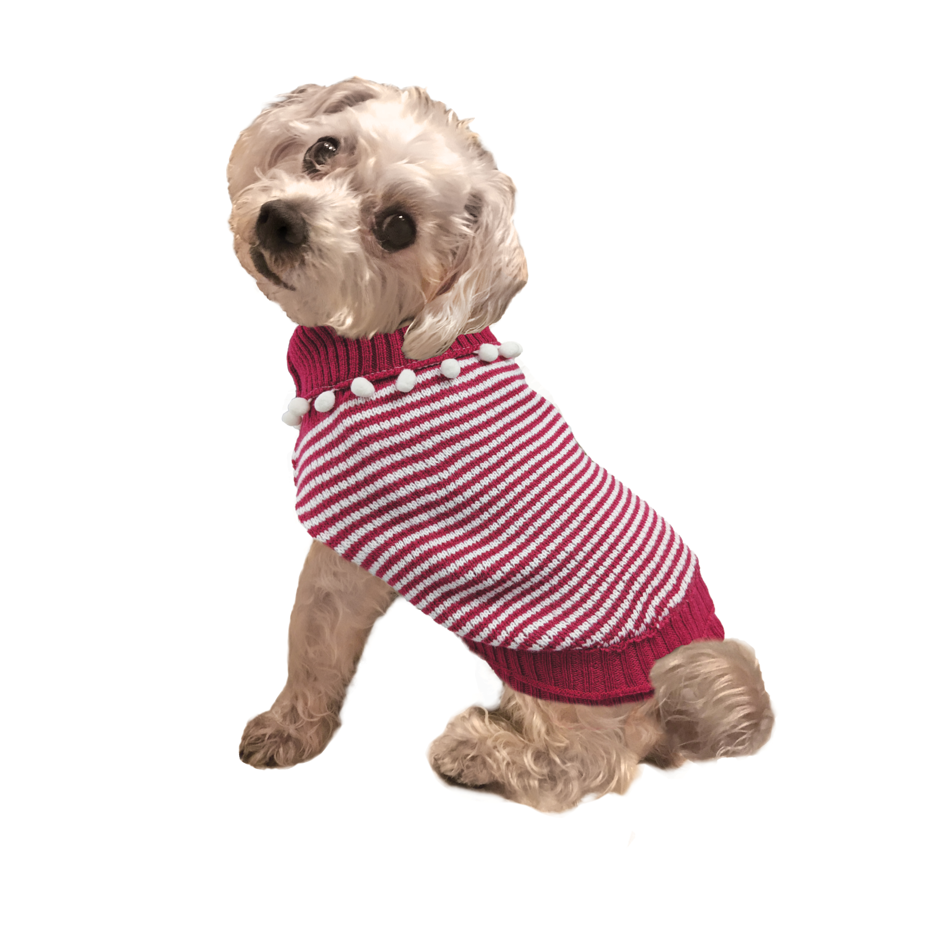 Pom-Pom Striped Sweater