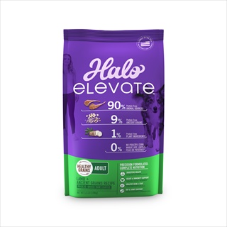 Halo Elevate Healthy Grains Lamb Recipe Adult Dry Dog Food 3.5lb