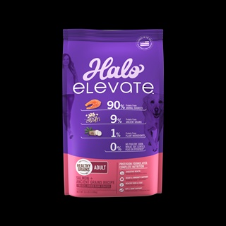 Halo Elevate Dog Healthy Grains Salmon Recipe Dry Food 3.5 lb