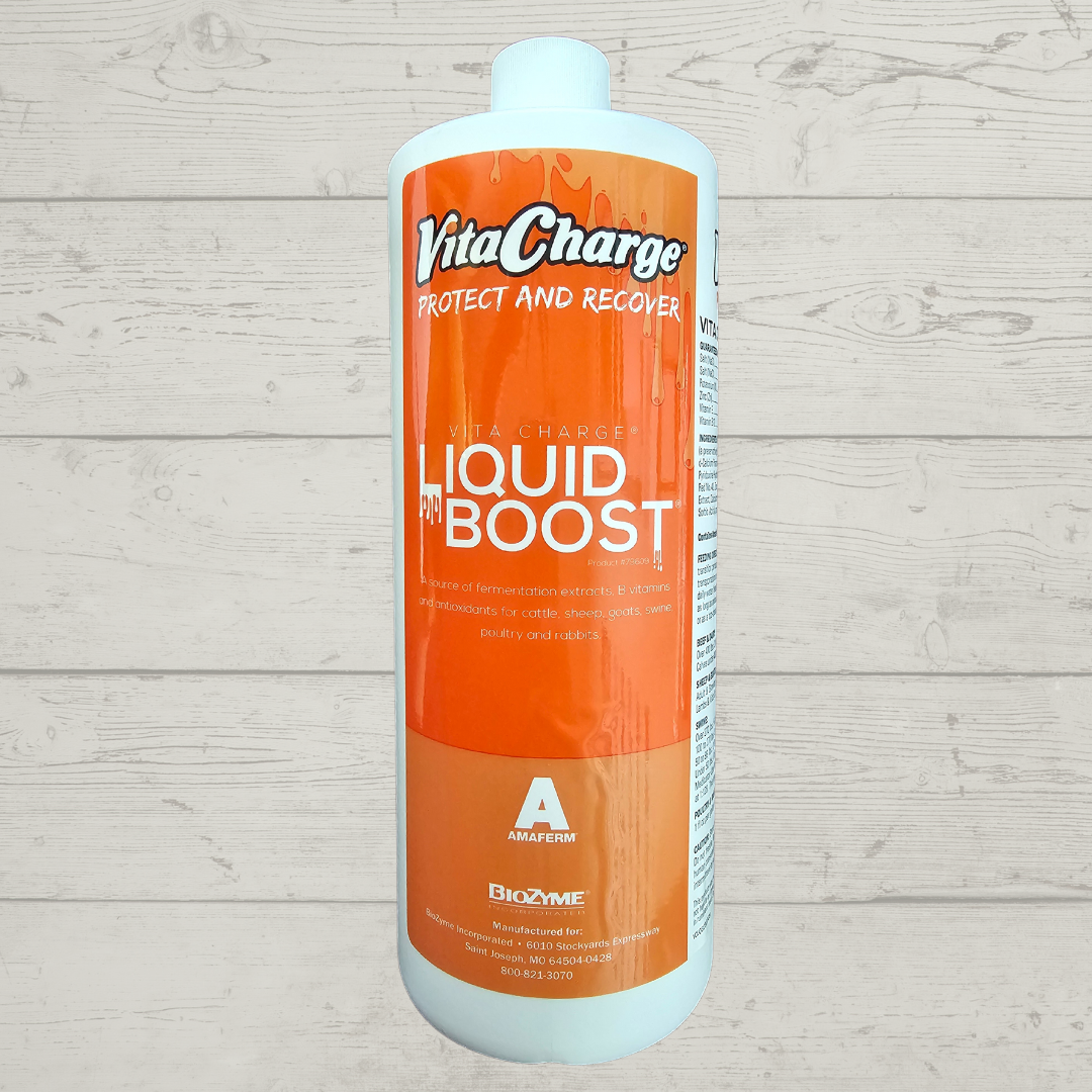 Vita Charge Liquid Boost 32oz
