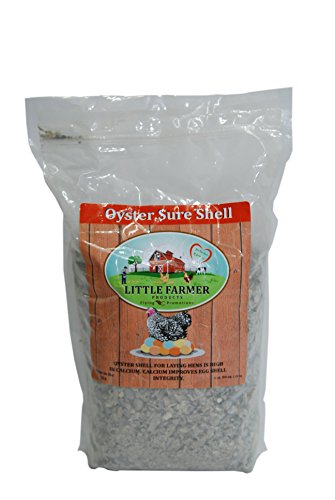 Little Farmer Oyster Shell 5#