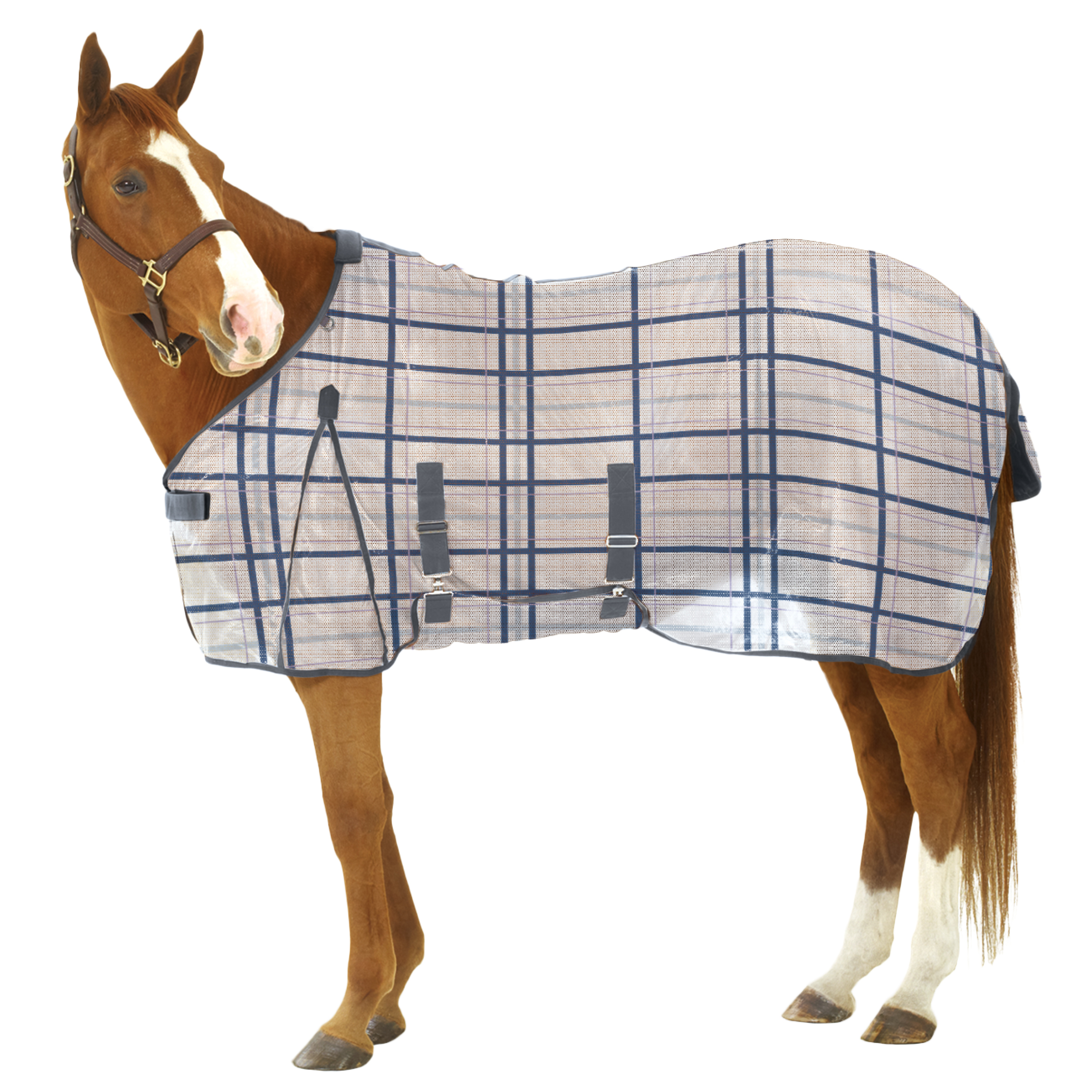Passoa Fly Sheet w/Belly Cover