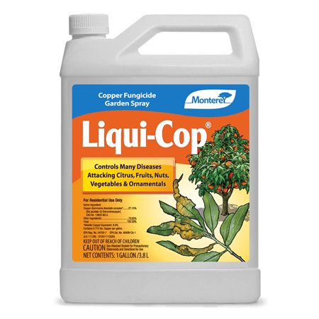 Monterey Liqui-Cop, 1 gal.