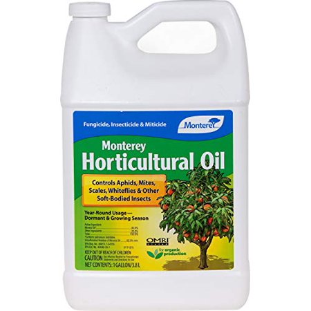 Monterey Horticultural Oil, Gallon