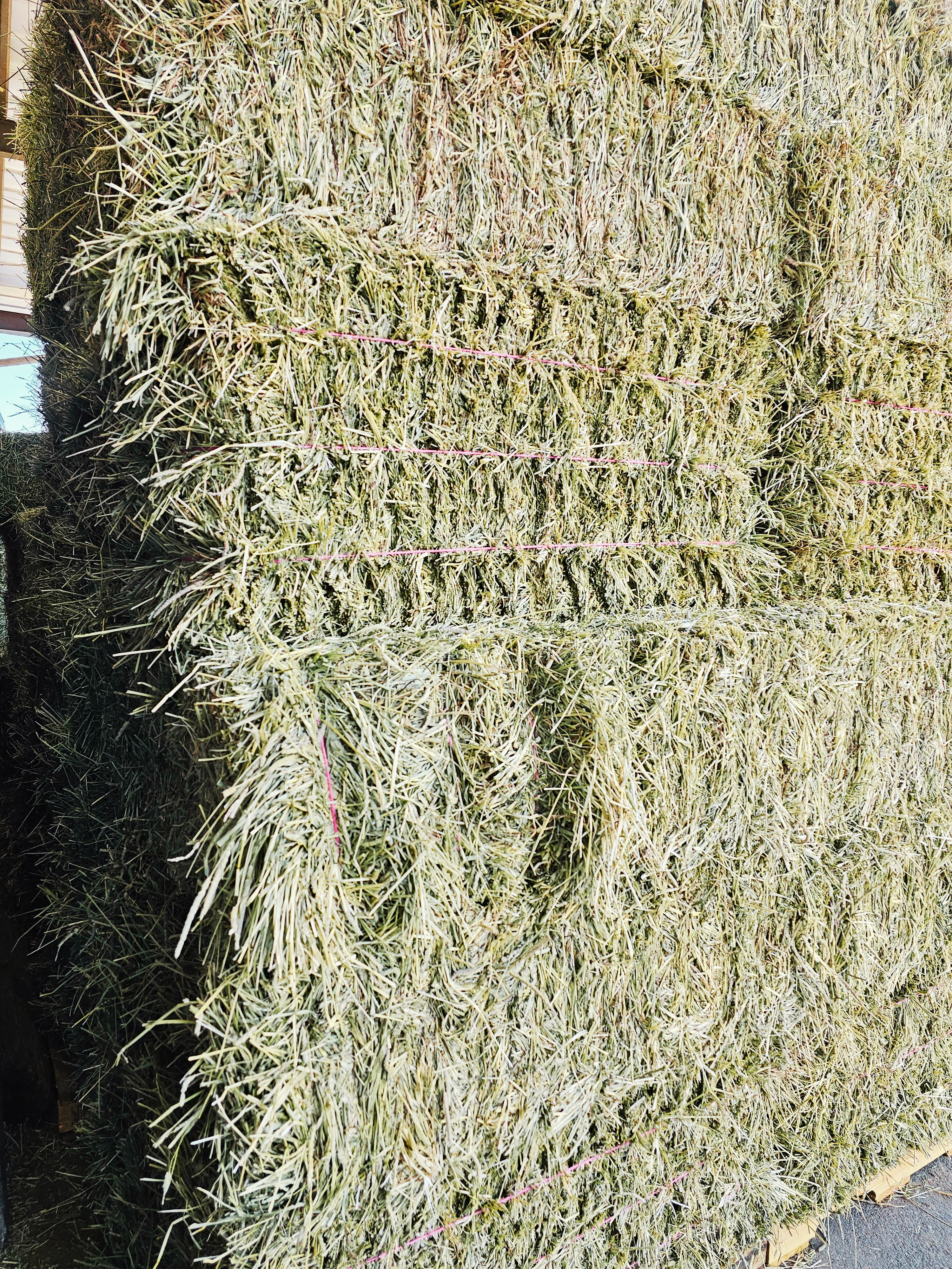 1st Cutting Timothy Hay