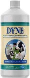 Dyne High Calorie Supplement 32oz