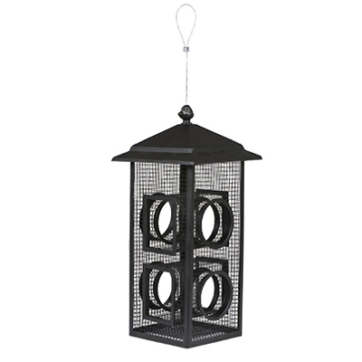 Fly Through Bird Feeder