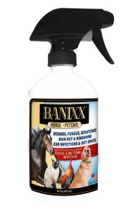 Banixx Spray Pint