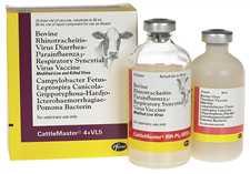 Cattlemaster 4 VL5 10ds