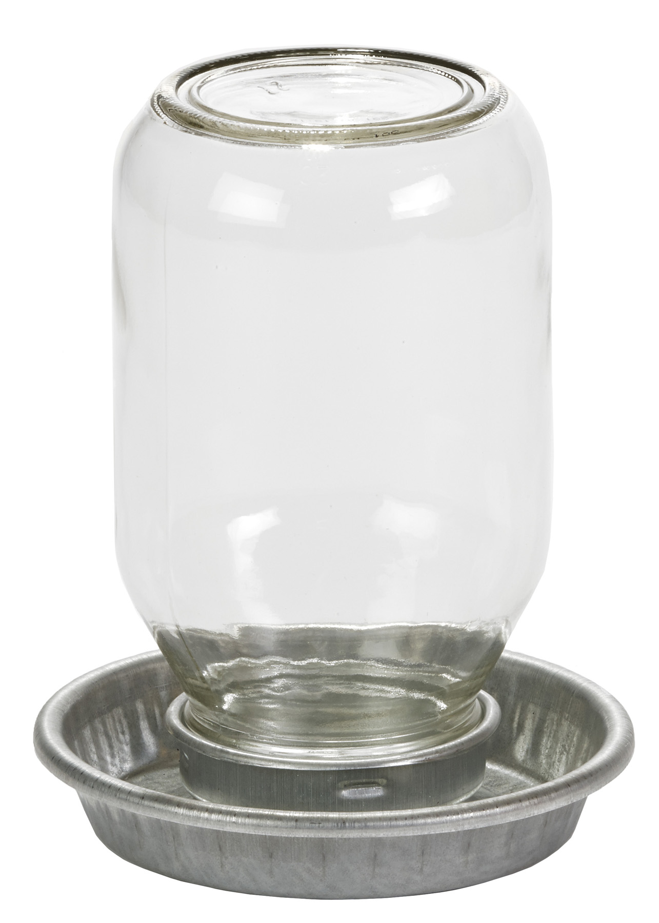 Little Giant Mason Jar Chick Waterer