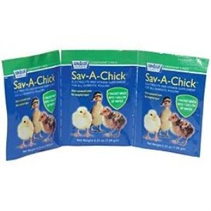 Sav-A-Chick Electrolyte and Vitamin Supplement for Poultry 3 .25oz packets