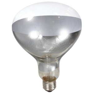Heat Lamp Bulb Clear 250 Watt