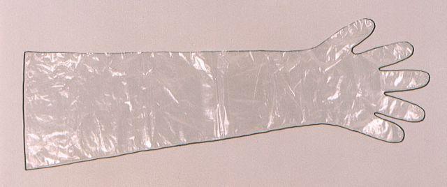 Poly-Pro Shoulder Length Glove, 100 pk.