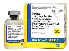 Bovi-Shield Gold 5 10ds