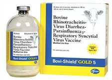 Bovi-Shield Gold 5 50ds