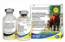 Bovi-Shield Gold FP 5 VL5 10ds